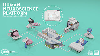 Magnetom Terra 7T Mri Scanner